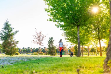 Korumalı maske takan bir kadın, Corona virüsü salgını yüzünden dışarıda köpekle birlikte yürüyor.