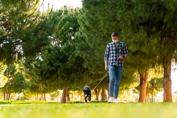 man wearing a protective mask is walking alone with a dog outdoors because of the corona virus pandemic covid-19