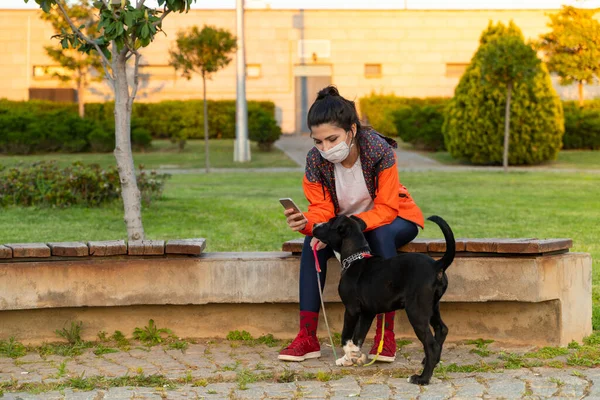 Mujer Sentada Con Perro Parque Usando Teléfono —  Fotos de Stock