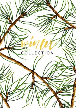 Çam dallarının vektör kapağı şablonu, botanik çizimler. Mevsimlik kış duvar kâğıdı.
