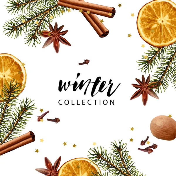 Vektör çerçevesi şablonu. Firavun dalları, kuru portakal dilimi, tarçın çubuğu, hindistan cevizi, karanfil, anason. Mevsimlik kış duvar kâğıdı.