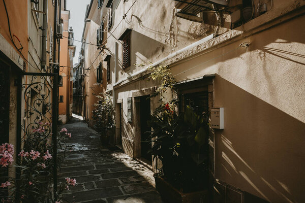 Empty narrow morning street of Slovenia town Piran during the summer sunrise with game of long shadows on the walls of the surroundings historical buildings with flowers in front of them