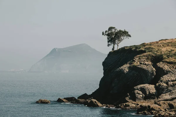 Couple Trees Standing Edge Cliff Bay Biscay Spain Town Castro — Stock Photo, Image