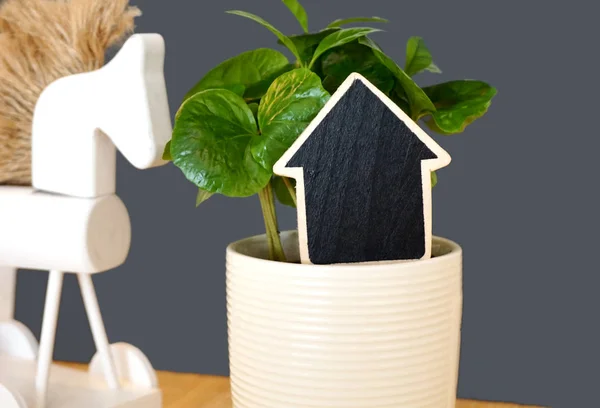 Small black chalkboard with copy space in the pot with green houseplant in the foreground and home decor in the background — Stock Photo, Image