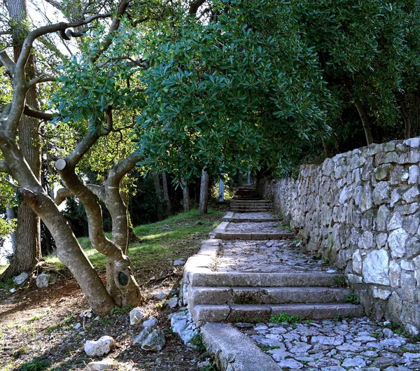 Mistyczne kamienne kroki i ścieżka, która prowadzi daleko do zielonego lasu — Zdjęcie stockowe