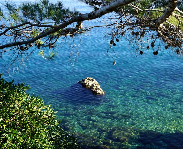 Marine Unpolluted Environment Sunny Day Beautiful Nature Background Colorful Bay — Stock Photo, Image