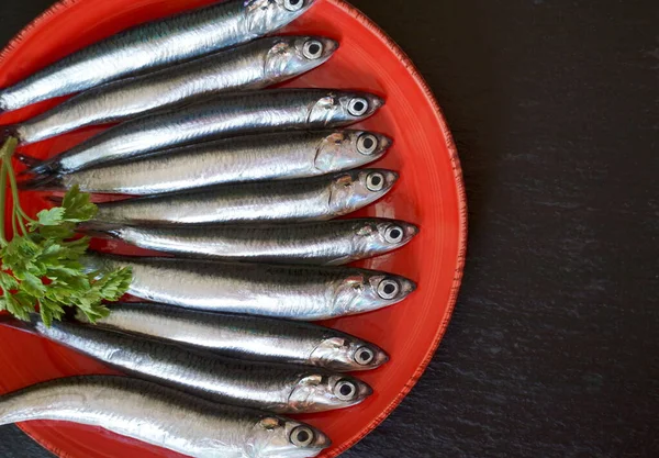 Zehn Rohe Sardellen Auf Dem Roten Teller Auf Schwarzem Küchentisch — Stockfoto