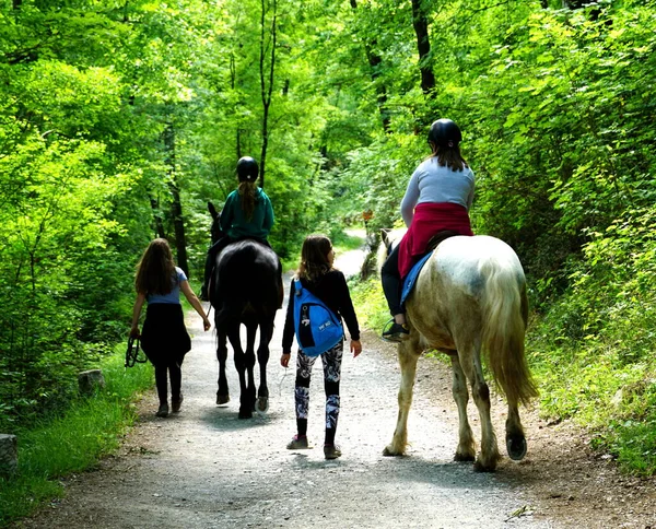 Kastav, Hırvatistan, 10 Mayıs 2020. Orman yolunda ata binen dört genç kız