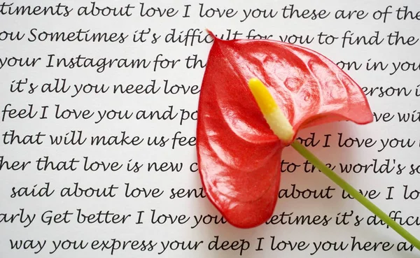 Parole Amore Sentimenti Sulla Carta Con Fiore Rosso Anthurium Posato — Foto Stock