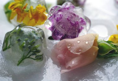 Pastel renk tonuyla boho çiğ çiçekleri serildi. Çiçek arkaplanı