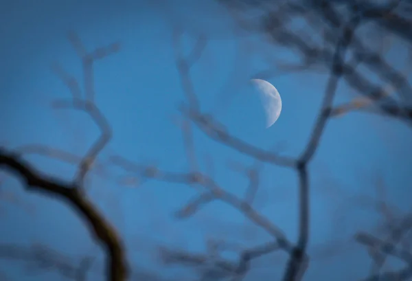 Landscape Called Lunar Haiku — Stock Photo, Image