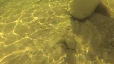 Bir dağ nehrinin sualtı manzarası