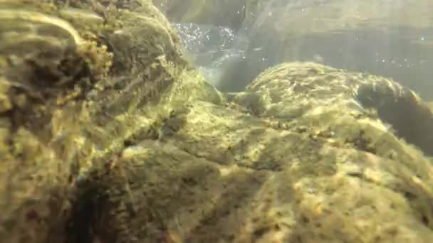 Подводный Пейзаж Горной Реки — стоковое видео