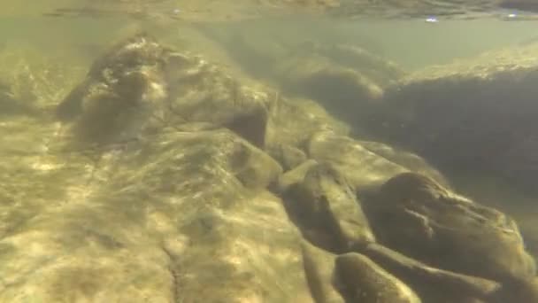 Podvodní Krajina Horské Řeky — Stock video