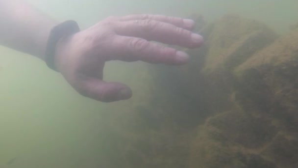 Onderwater Landschap Van Een Berg Rivier — Stockvideo