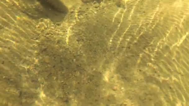 Unterwasserlandschaft Eines Gebirgsflusses — Stockvideo