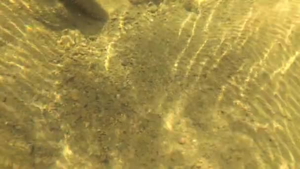 Paysage sous-marin d'une rivière de montagne 