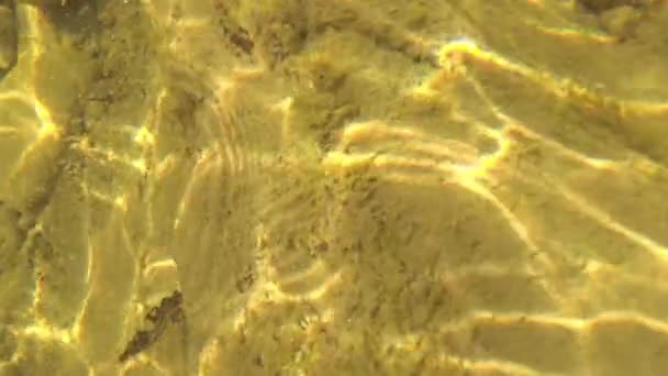 Підводний Пейзаж Гірської Річки — стокове відео