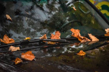 Suv Karpatlar seyahat