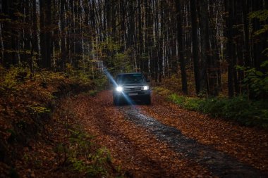 Suv Karpatlar seyahat