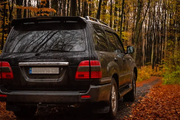 Suv Podróżuje Karpatach — Zdjęcie stockowe