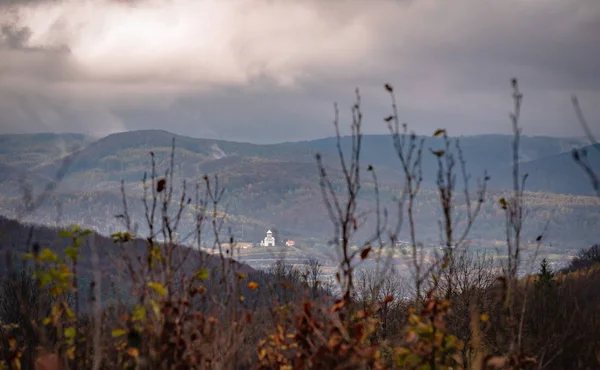 Bergwald Herbst — Stockfoto