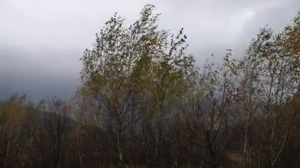 Landschaften Der Herbstlichen Karpaten — Stockvideo