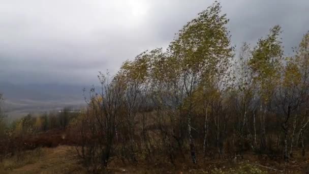 Landschaften Der Herbstlichen Karpaten — Stockvideo