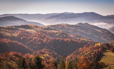 Sunny Transcarpathia denilen manzara