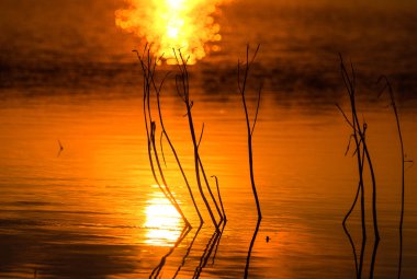 Nehir dans pistinde peyzaj çağrısı 