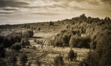 Sonbahar Karpatya manzaraları