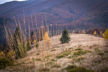 Güz Karpatları 'nın Manzaraları
