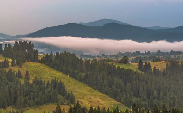 Summer Carpathians — Free Stock Photo