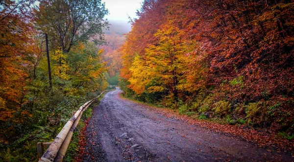 Automne Dans Campagne Des Carpates — Photo