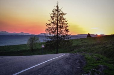 Karpatlar baharda
