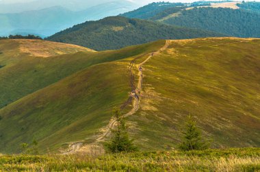 Karpatlar 'da Aşçı Dağı