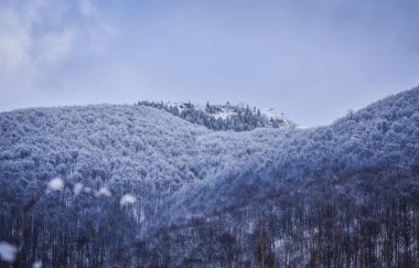 Güz Karpatları 'nın Manzaraları