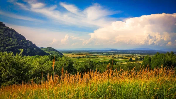 Літо Карпатах — стокове фото