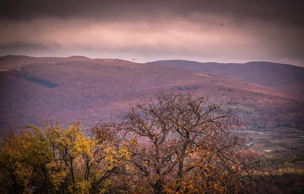 Landschaften Der Herbstkarpaten — Stockfoto