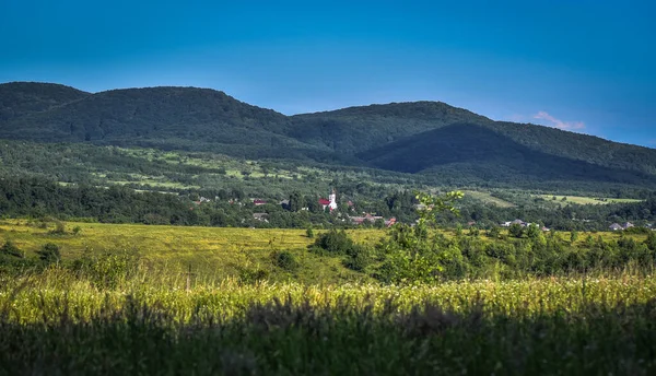 Primăvara Carpaţi — Fotografie, imagine de stoc