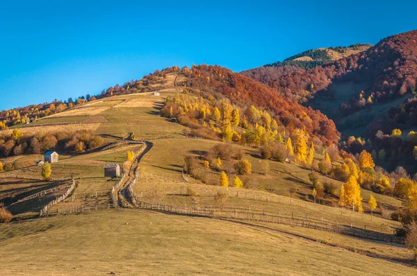 Peisaje Din Munții Carpați Toamnă — Fotografie, imagine de stoc