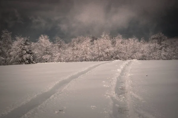 Winter Karpaten — Stockfoto