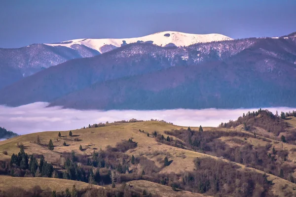 Spring Carpathians — Free Stock Photo