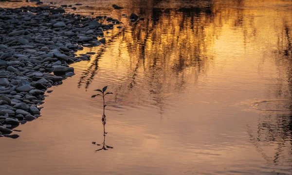 Río Montaña Verano — Foto de Stock