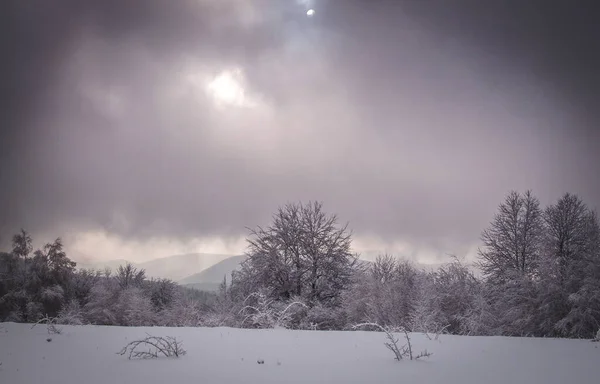 Invierno Los Cárpatos — Foto de Stock