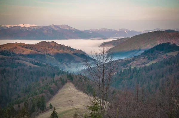 Primăvara Carpaţi — Fotografie, imagine de stoc