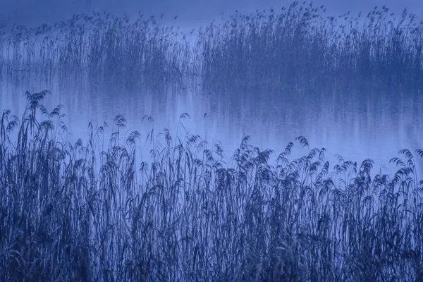 Lago Montanha Inverno — Fotografia de Stock