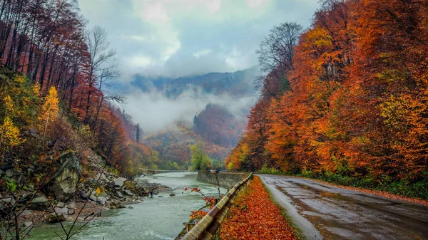 Peisaje Din Munții Carpați Toamnă — Fotografie, imagine de stoc