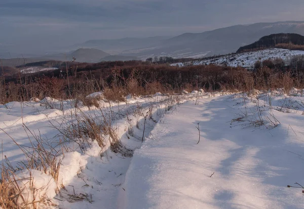 Zima Karpatech — Stock fotografie