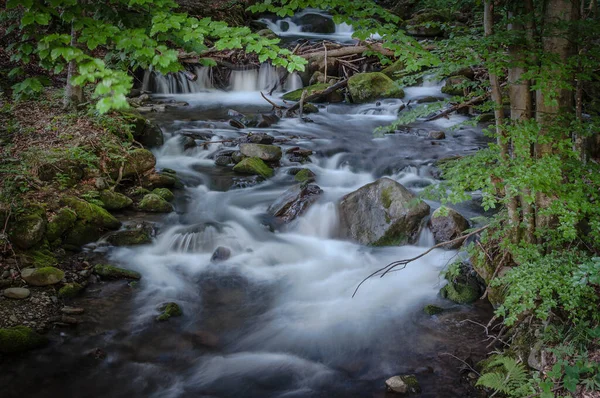 Rivière Montagne Été — Photo